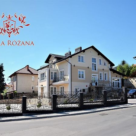 Willa Rozana - Apartamenty I Pokoje Goscinne Сандомир Екстер'єр фото